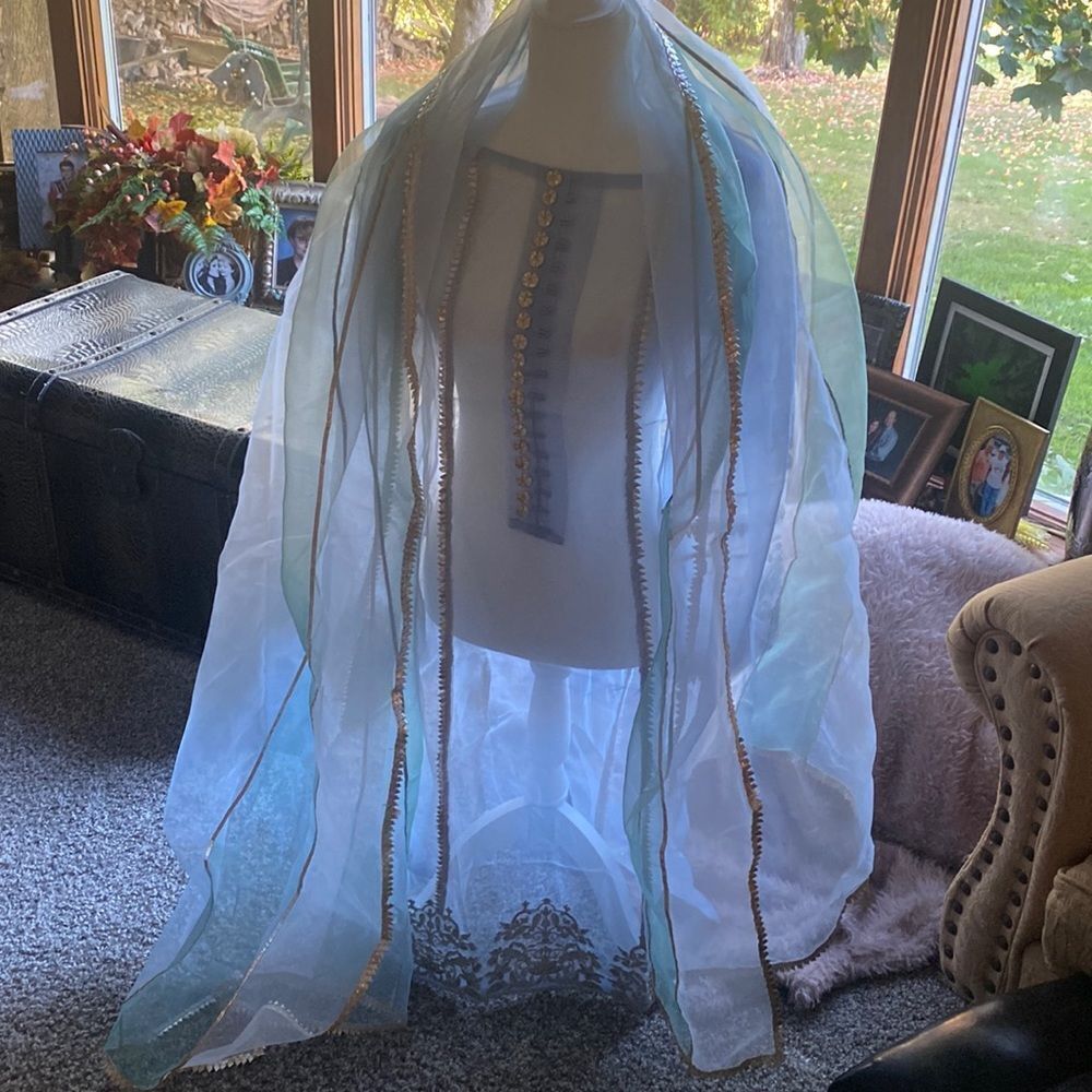 Beautiful Sheer Asian Dress Gorgeous
